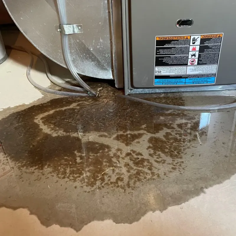 Pipe Burst and Leak Restoration in Guadalupe County, NM