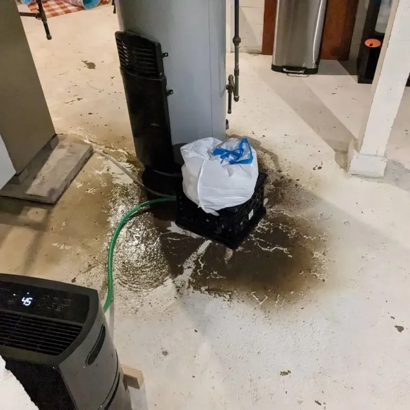 Sewage Backup Cleanup Service in Guadalupe County, NM